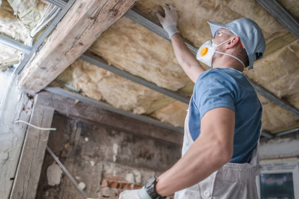 Best Eco-Friendly Insulation in Chowchilla, CA